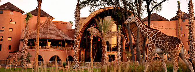 Disney Animal Kingdom Lodge