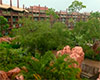 Edificio Animal Kingdom Lodge -The Consortium