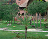 Animales Animal Kingdom Lodge - The Consortium