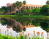 Coronado Springs - Greencolander