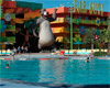 Piscina Disney Pop Century - Brian Marshall