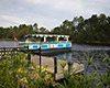 Transporte Port Orleans French Quarter - harshlight