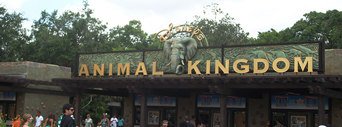 Animal Kingdom - Walt Disney World Resort