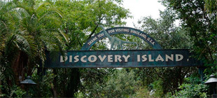 Discovery Island -Animal Kingdom