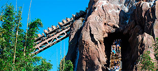 Expedicion Everest - Animal Kingdom