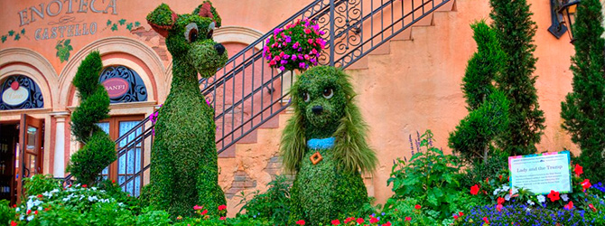 Epcot - Festival Flores