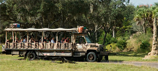 Kilimanjaro Safaris 