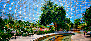 Living with the Land - Epcot