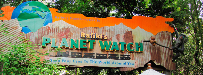 Rafiki Planet Watch - Animal Kingdom