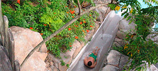 Storm Slides - Typhoon Lagoon