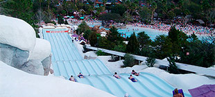 Toboggan Racers - Blizzard Beach