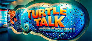 Turtle Talk With Crush - Epcot