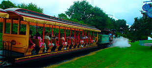 Tren Disney World